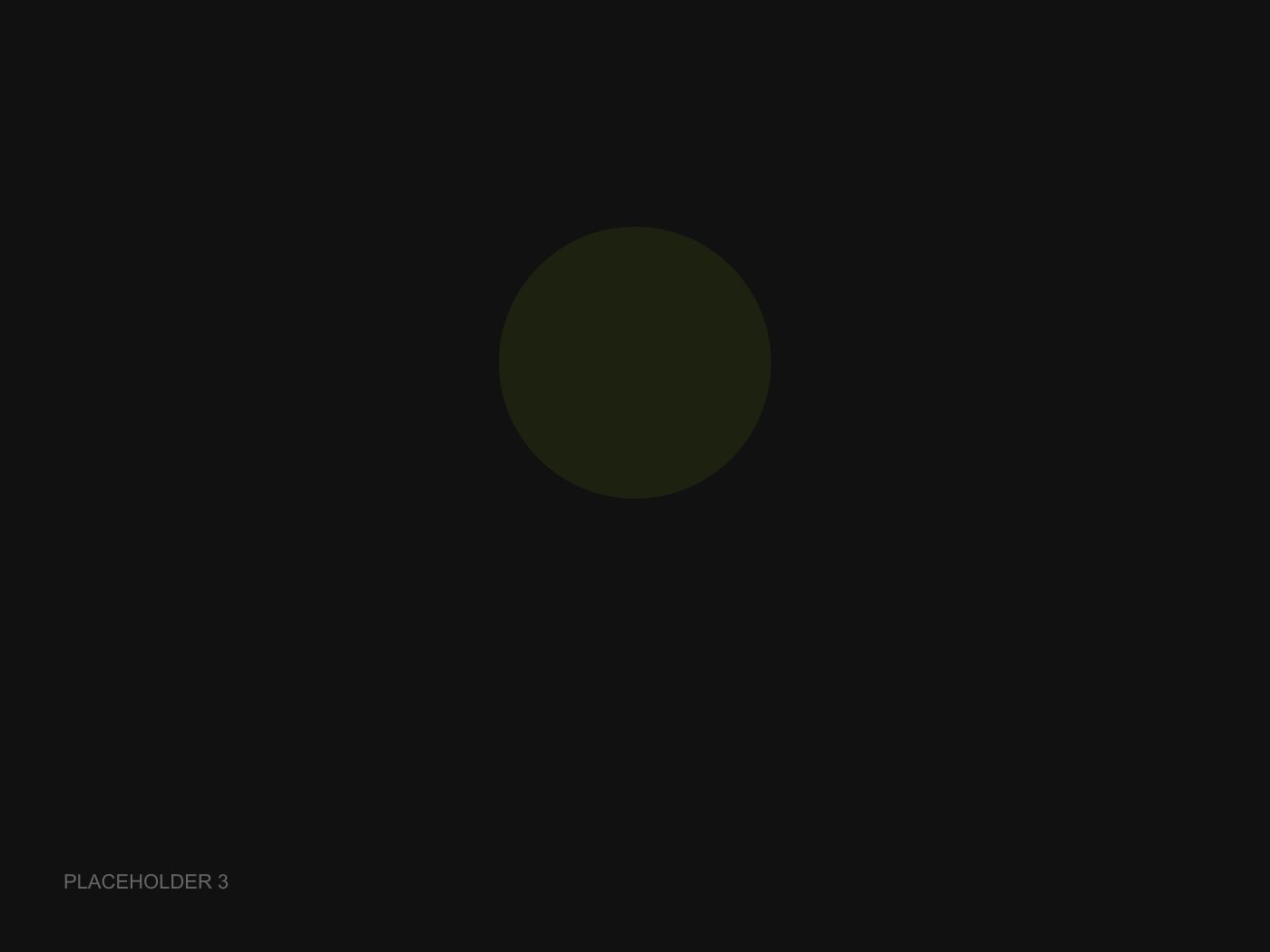 Paint before correction (placeholder)